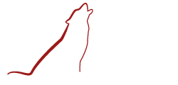 Airbrush-Wolf